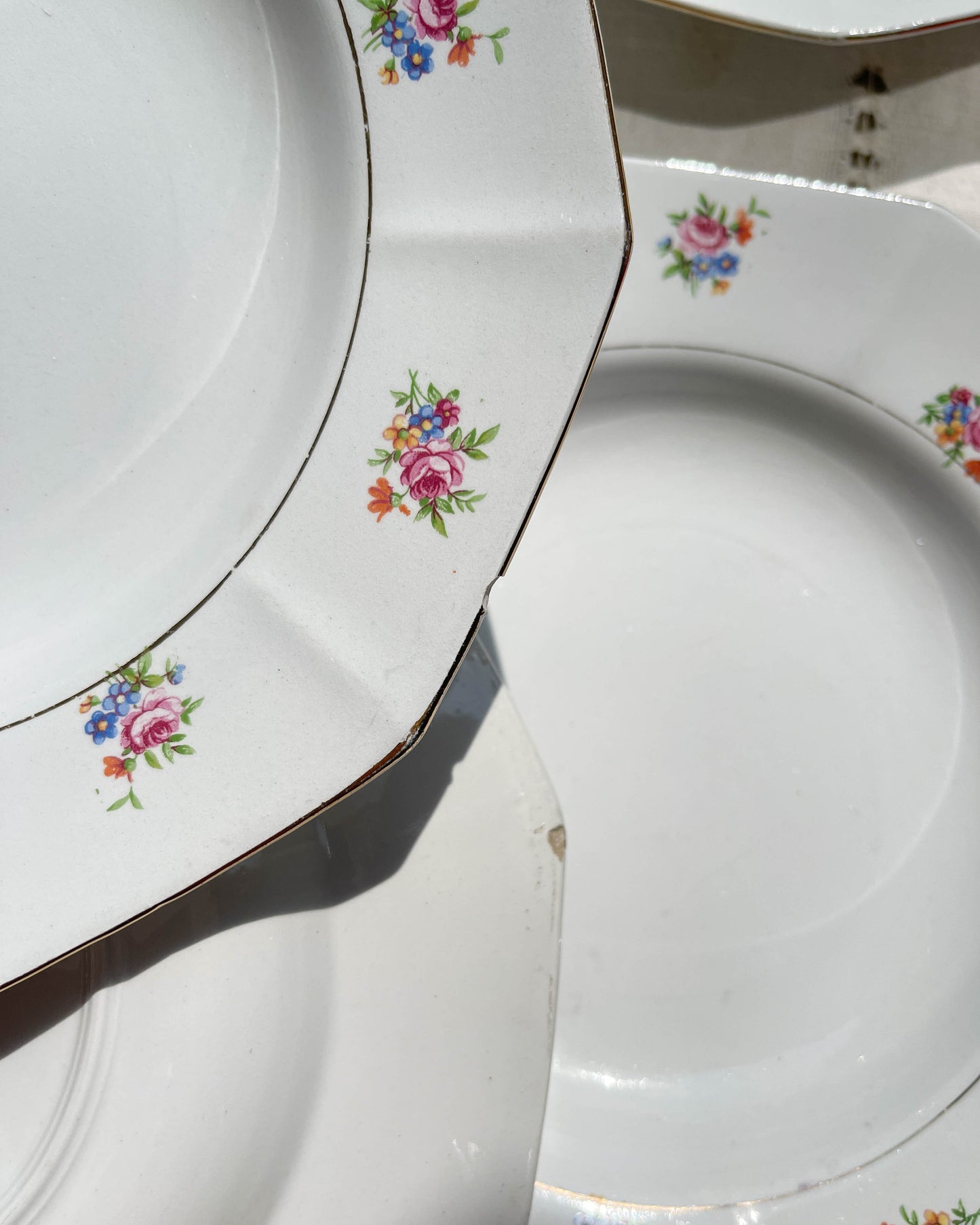 Assiettes creuses vintage en porcelaine opaque SALINS motif fleuri