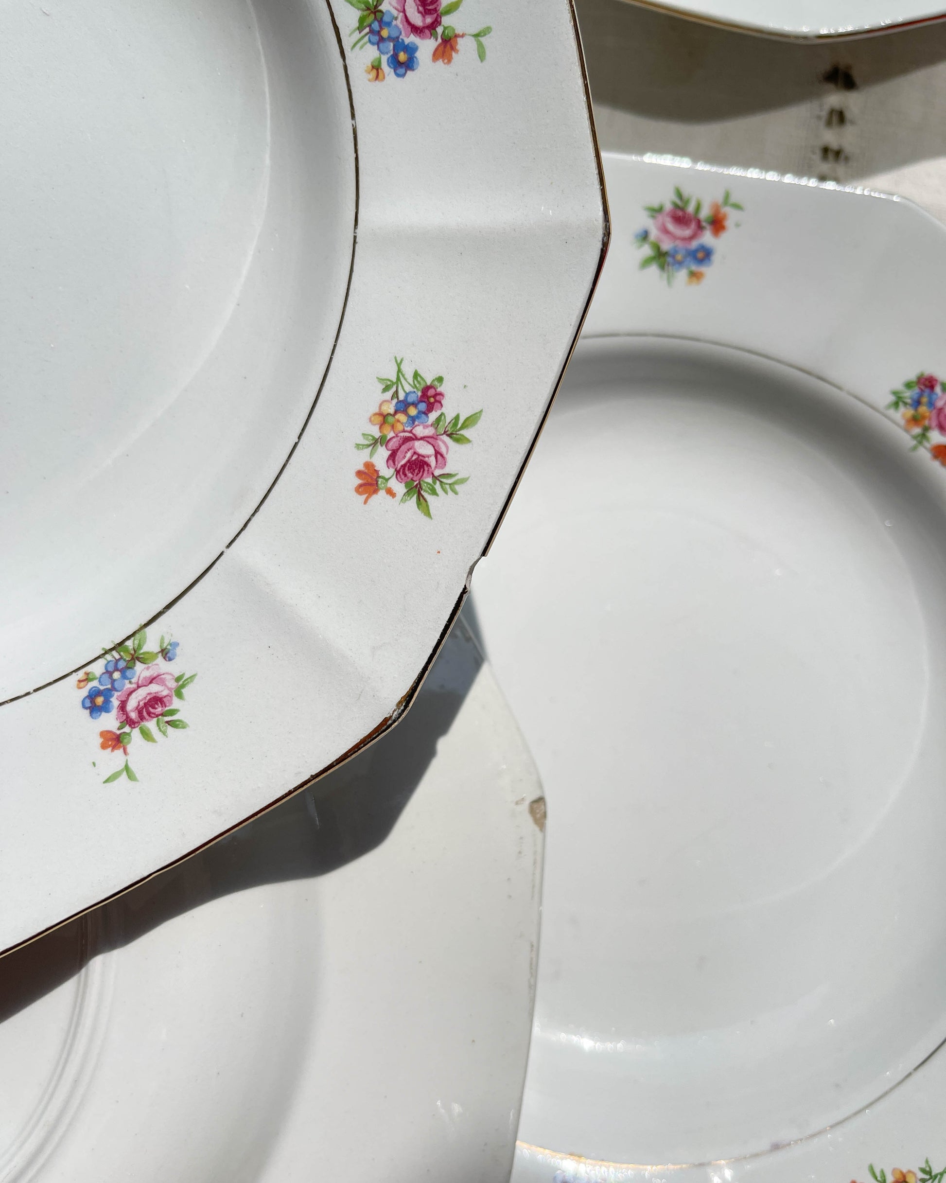 Assiettes creuses vintage en porcelaine opaque SALINS motif fleuri