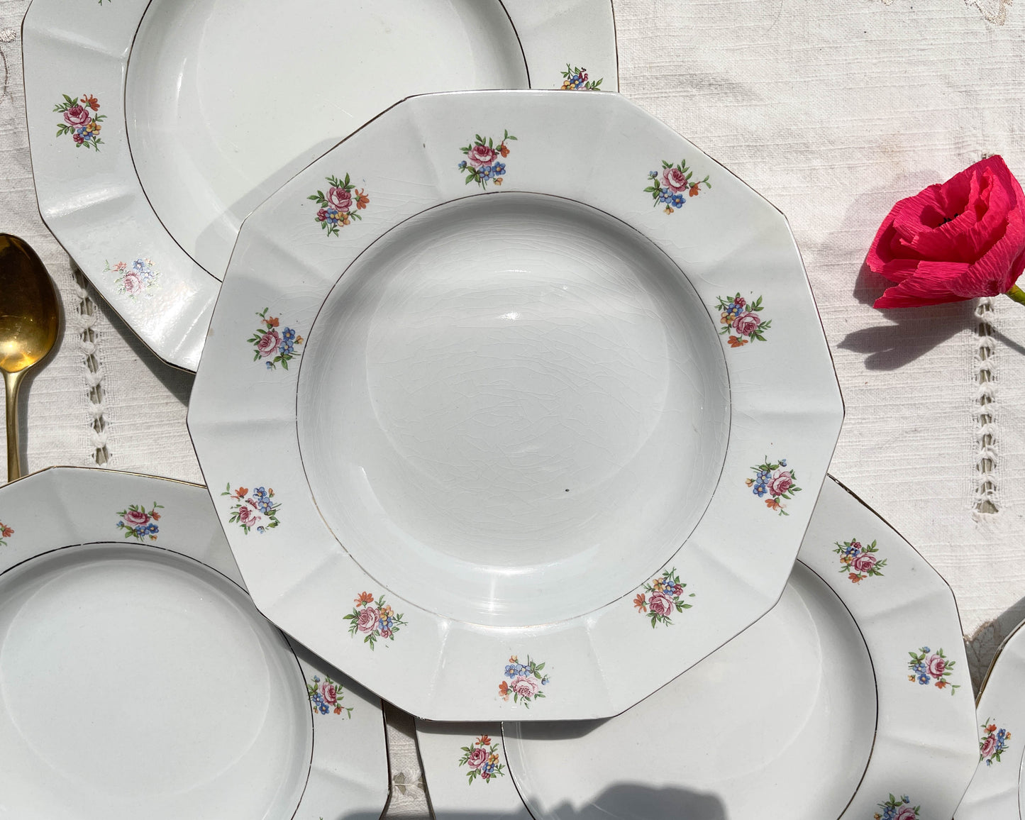 Assiettes creuses vintage en porcelaine opaque SALINS motif fleuri