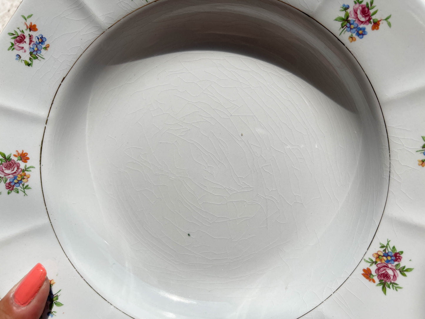 Assiettes creuses vintage en porcelaine opaque SALINS motif fleuri