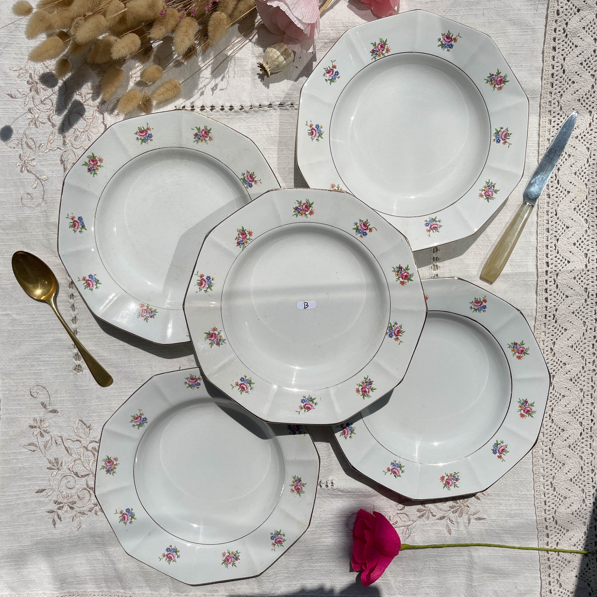 Assiettes creuses vintage en porcelaine opaque SALINS motif fleuri
