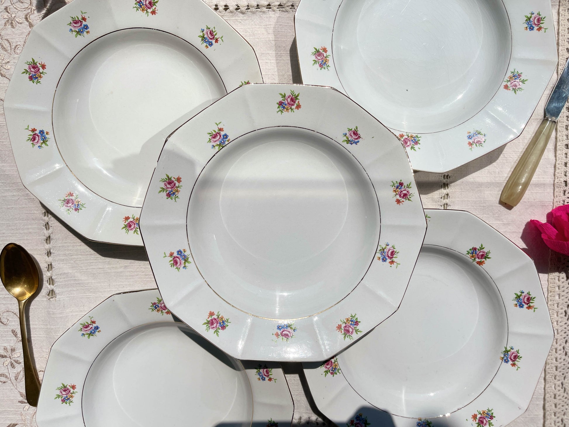Assiettes creuses vintage en porcelaine opaque SALINS motif fleuri