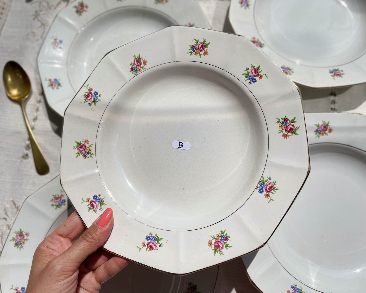 Assiettes creuses vintage en porcelaine opaque SALINS motif fleuri