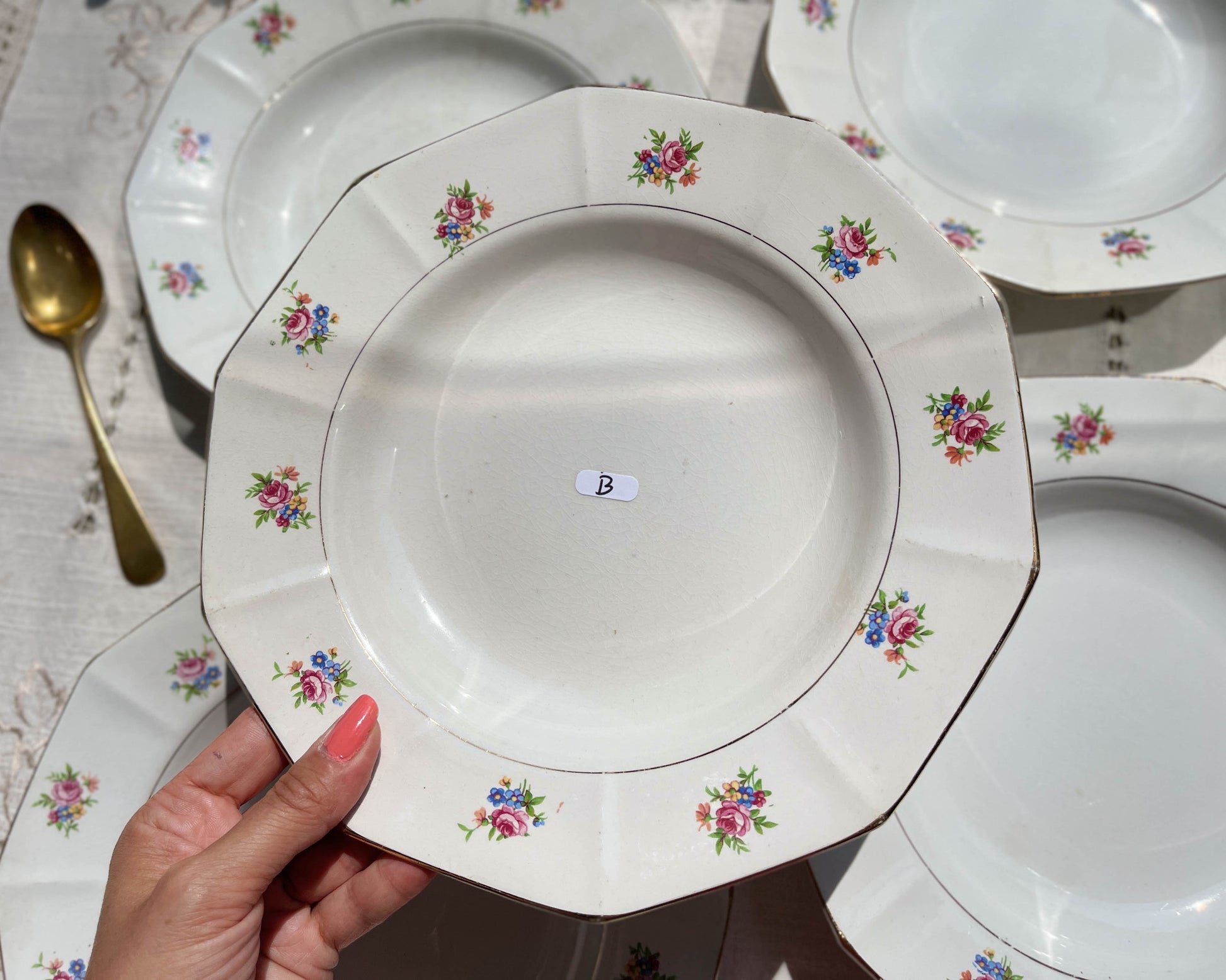 Assiettes creuses vintage en porcelaine opaque SALINS motif fleuri