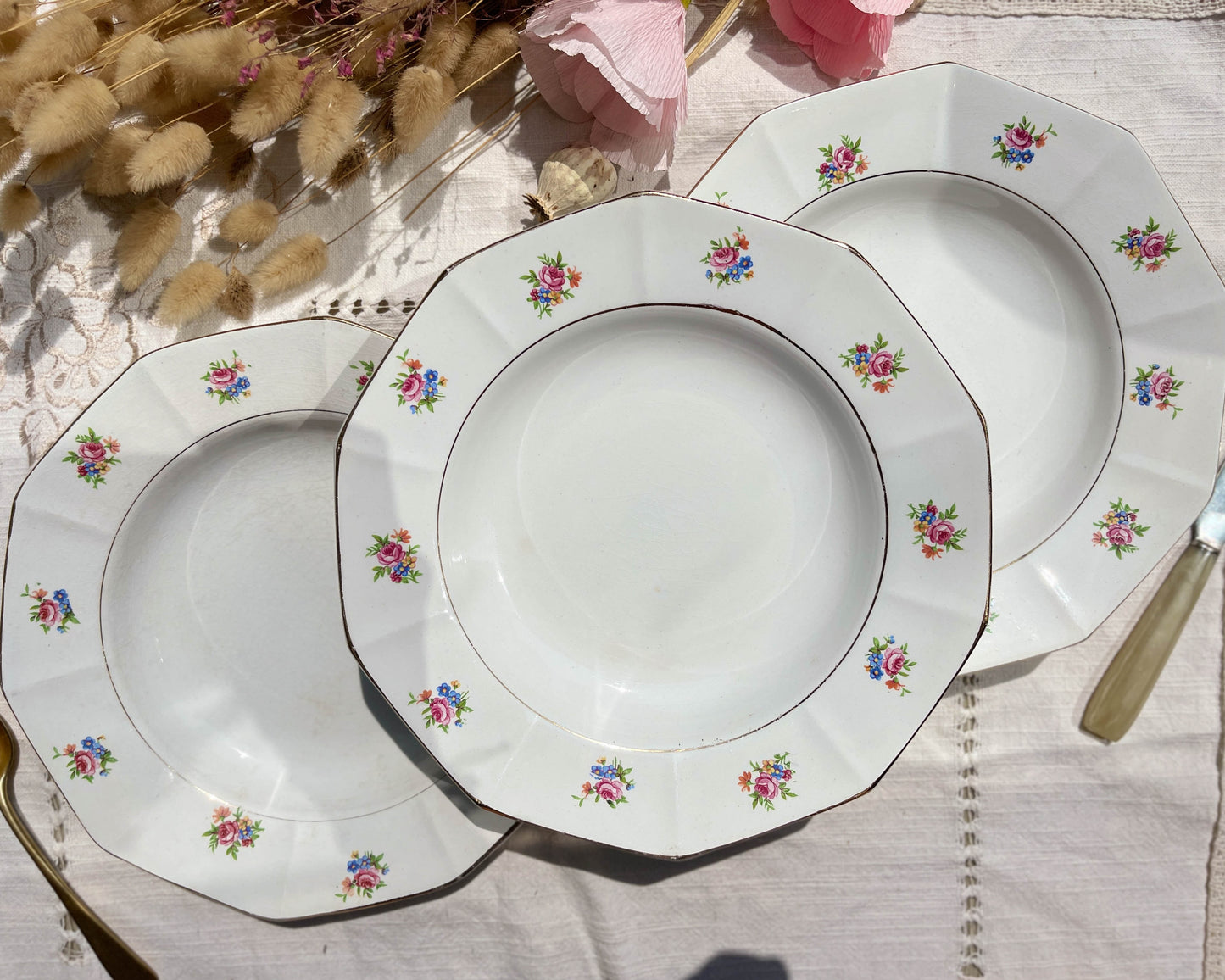 Assiettes creuses vintage en porcelaine opaque SALINS motif fleuri