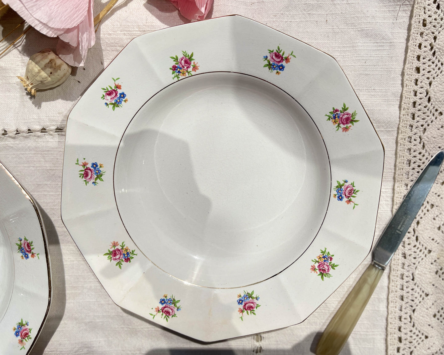 Assiettes creuses vintage en porcelaine opaque SALINS motif fleuri