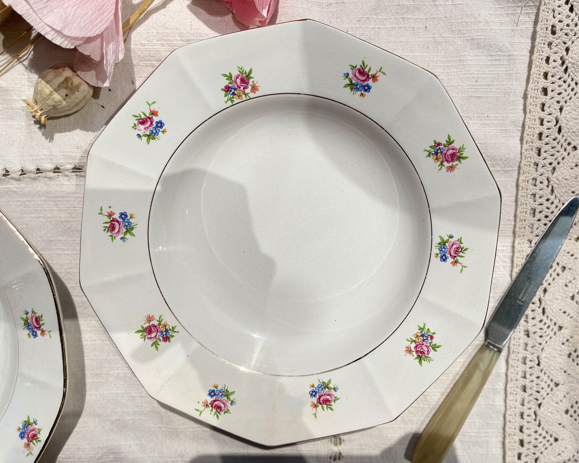 Assiettes creuses vintage en porcelaine opaque SALINS motif fleuri