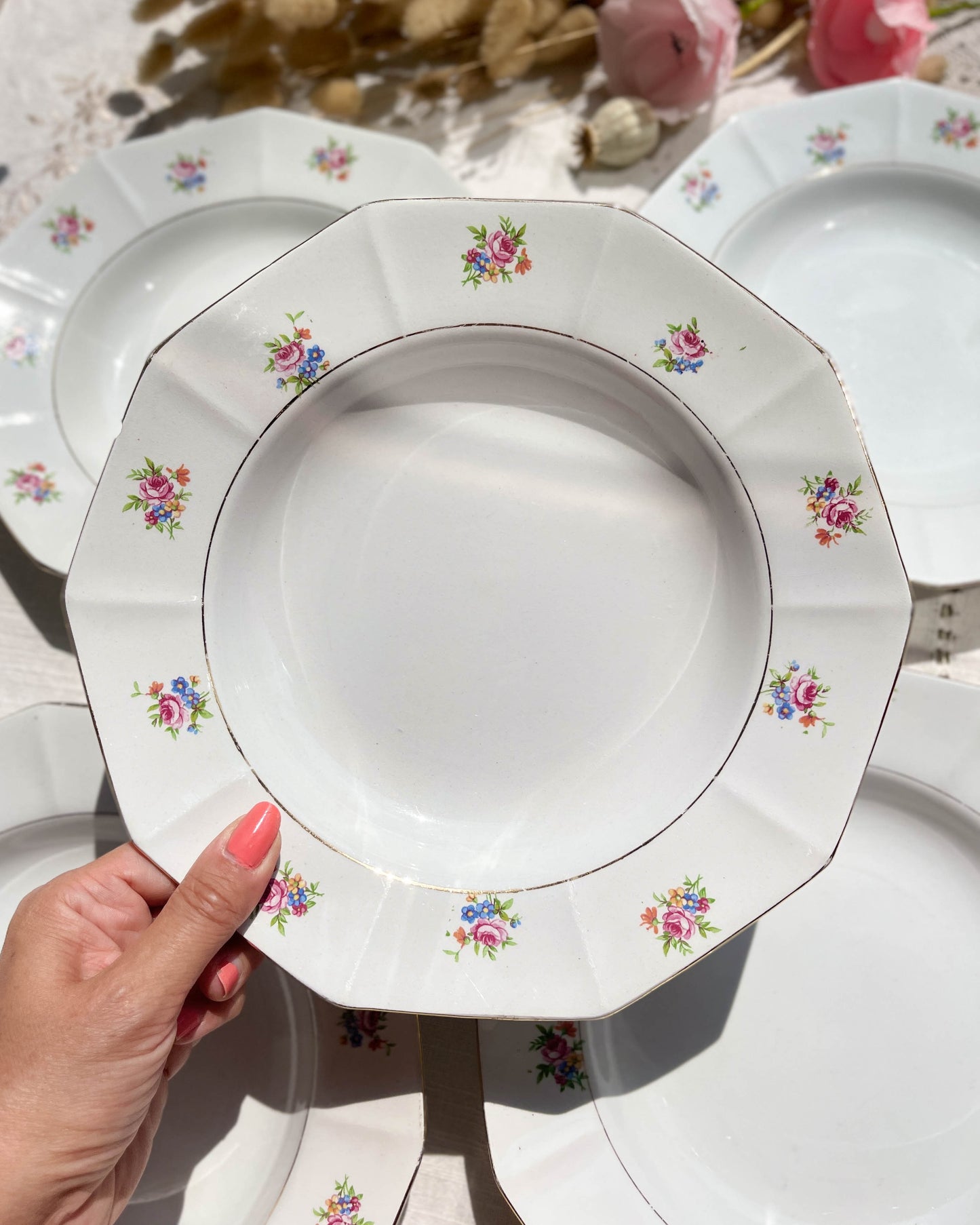 Assiettes creuses vintage en porcelaine opaque SALINS motif fleuri