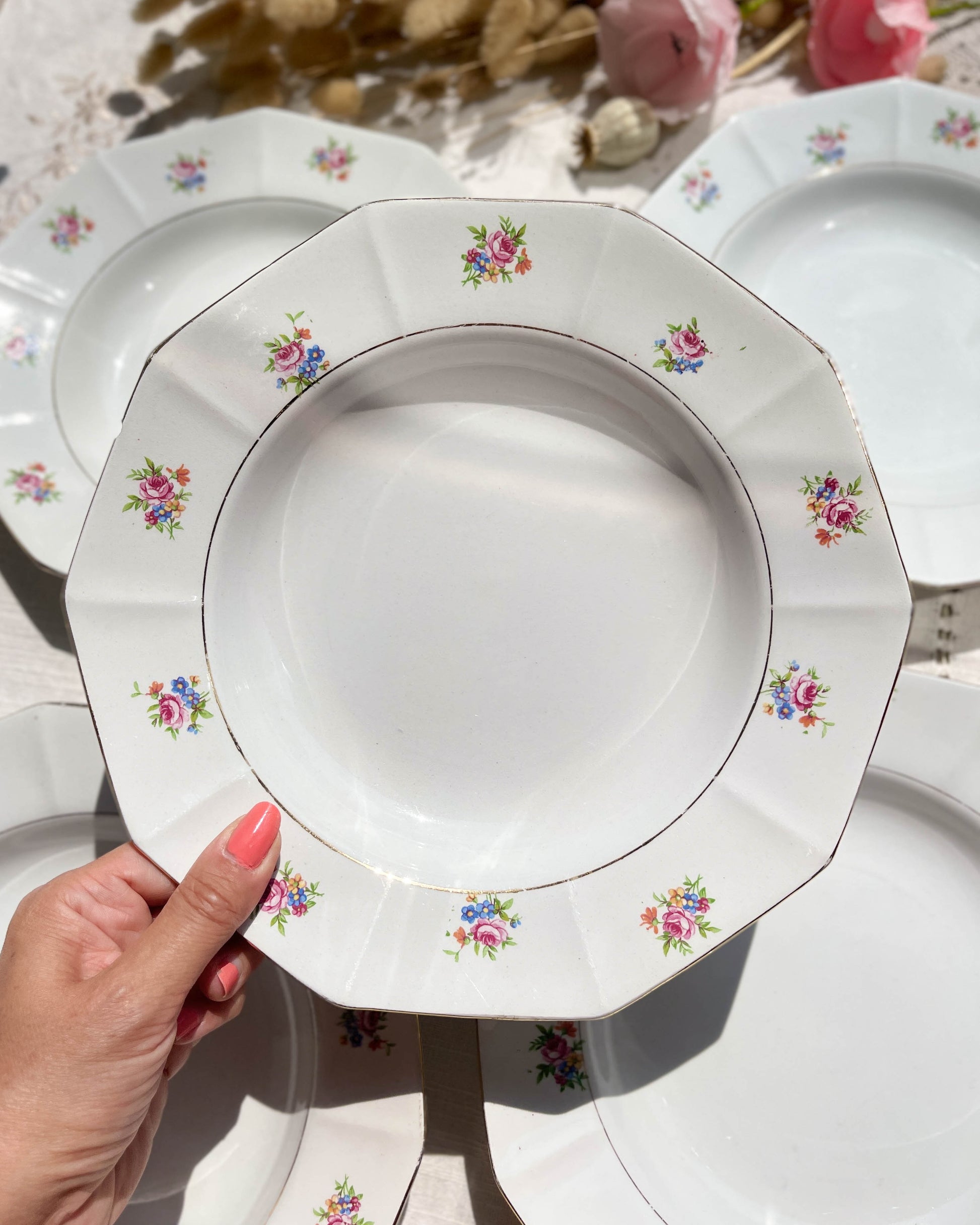 Assiettes creuses vintage en porcelaine opaque SALINS motif fleuri