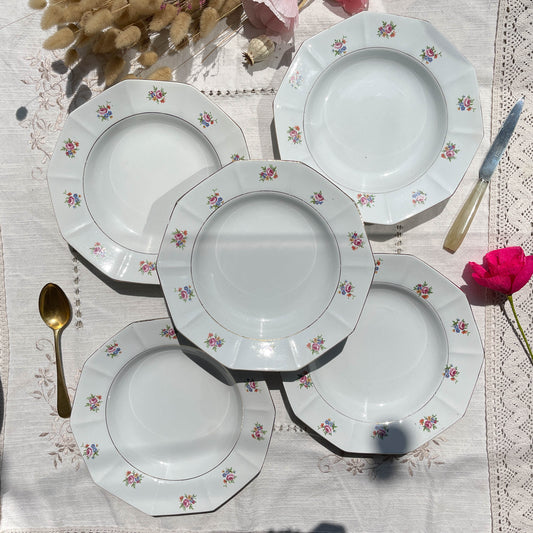 Assiettes creuses vintage en porcelaine opaque SALINS motif fleuri