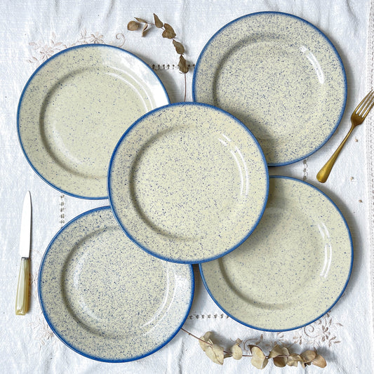 Assiettes plates en grès moucheté bleues Tulowice Poland 1970