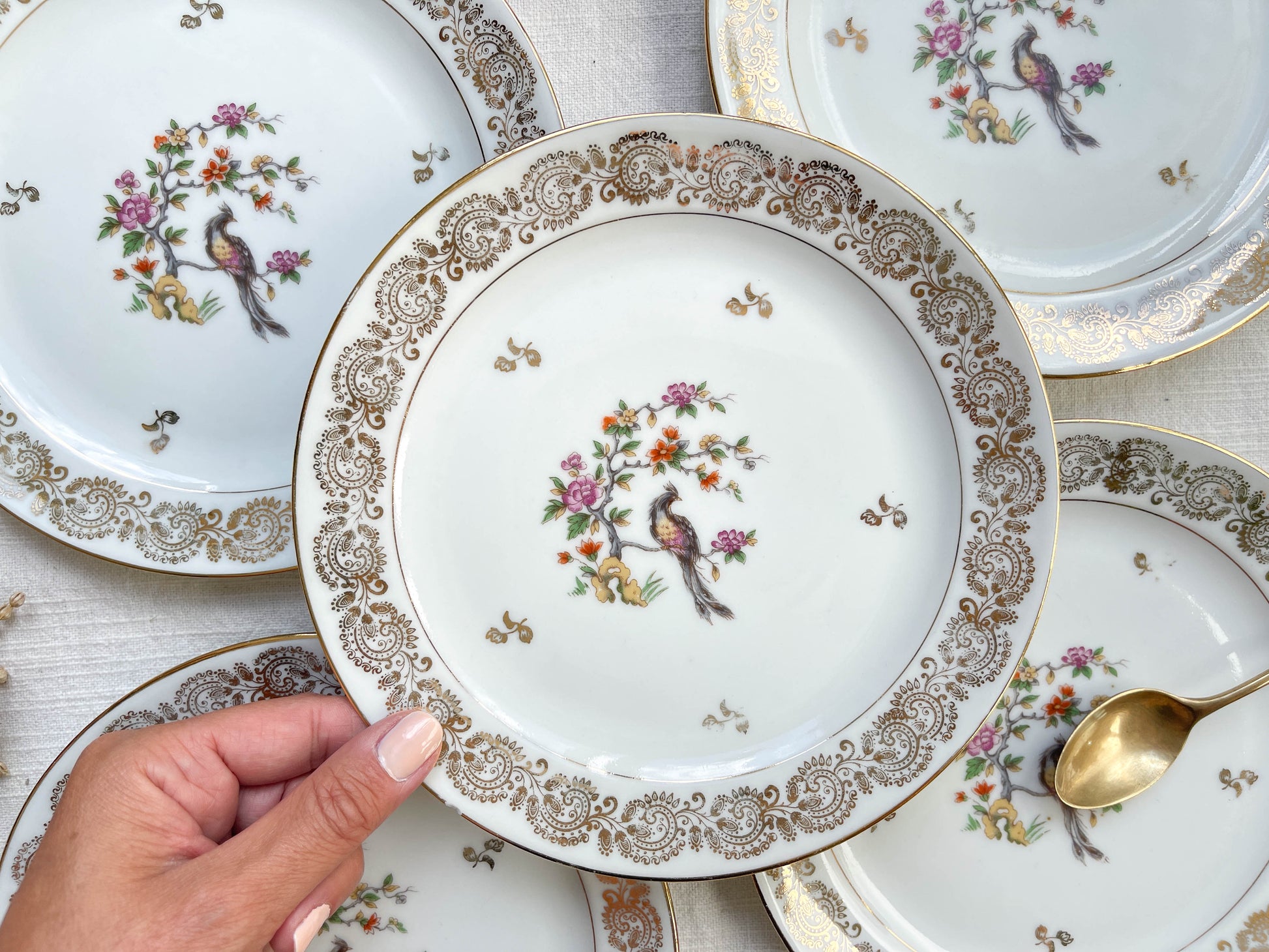 5 Assiettes vintage Porcelaine blanches dorées + 5 Petites Assiettes dépareillées oiseau