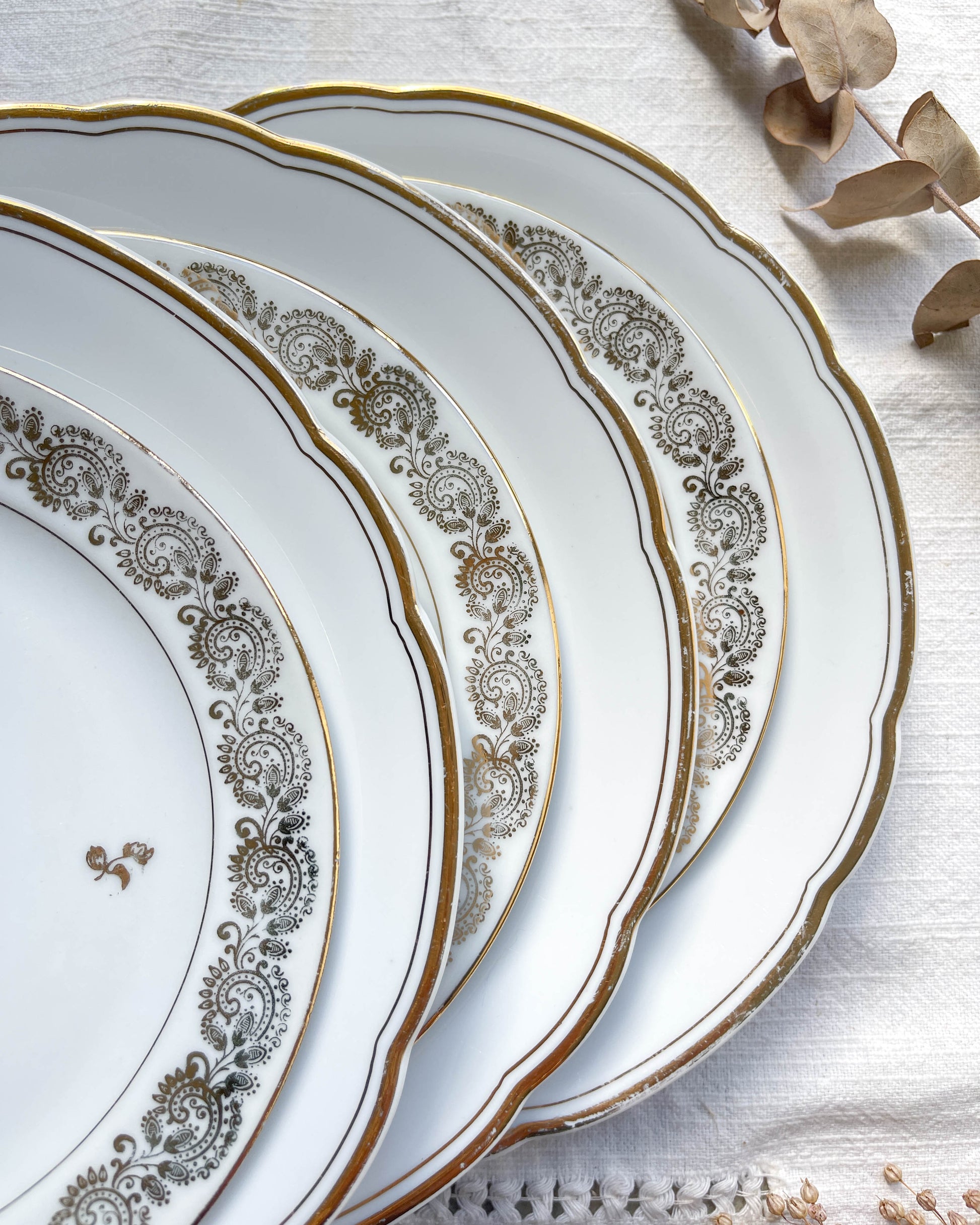 5 Assiettes vintage Porcelaine blanches dorées + 5 Petites Assiettes dépareillées oiseau
