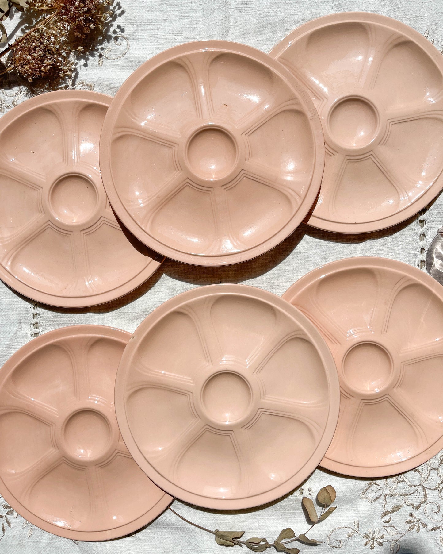 6 Assiettes à huîtres en porcelaine rose Digoin Sarreguemines