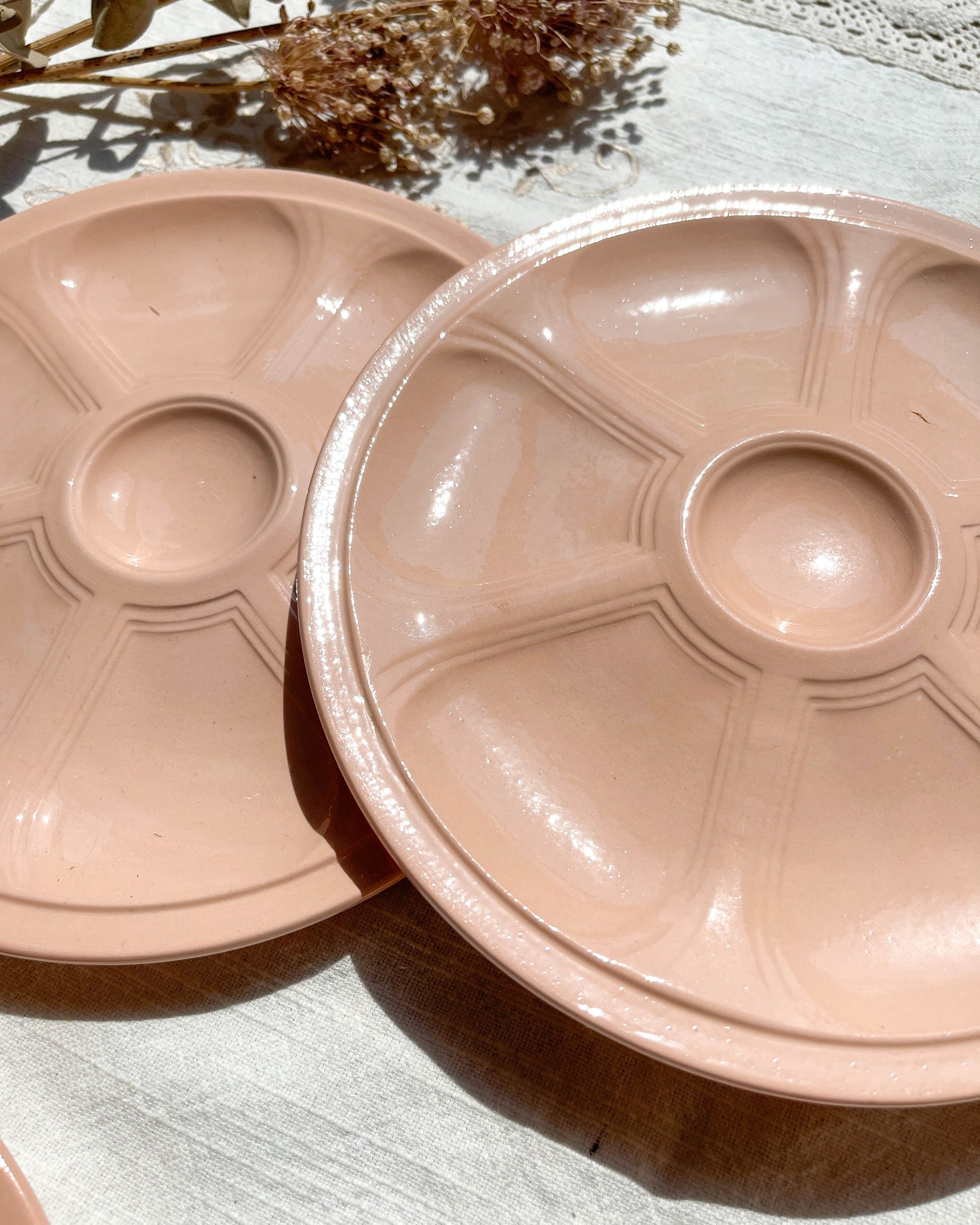 6 Assiettes à huîtres en porcelaine rose Digoin Sarreguemines