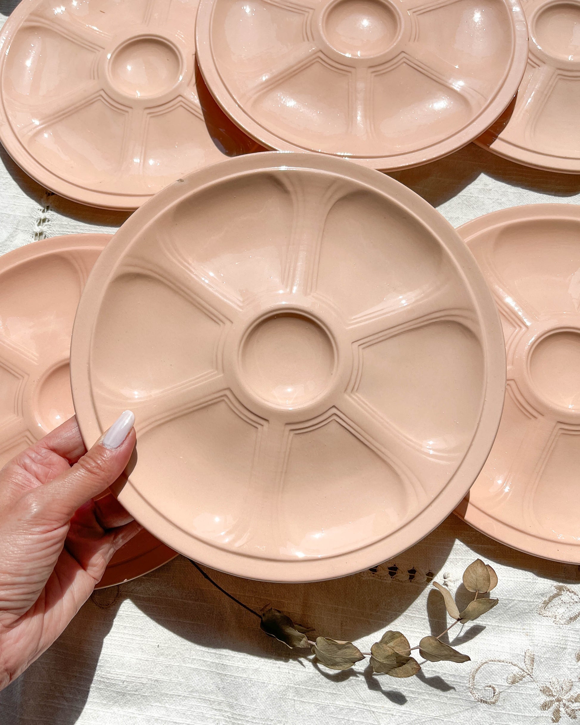 6 Assiettes à huîtres en porcelaine rose Digoin Sarreguemines