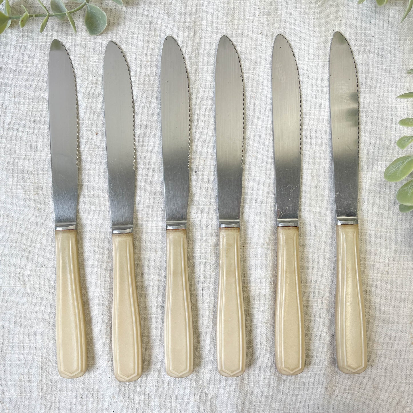 6 couteaux vintage Bakélite ivoire France