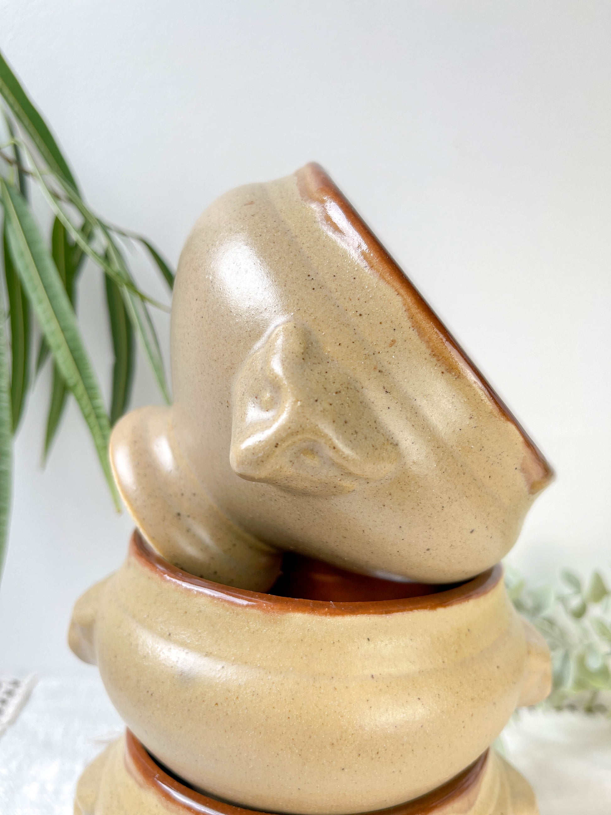 6 Bols à Soupe à l'Oignon Tête de Lion en Céramique Vintage Emile Henry - Beige, Made in France