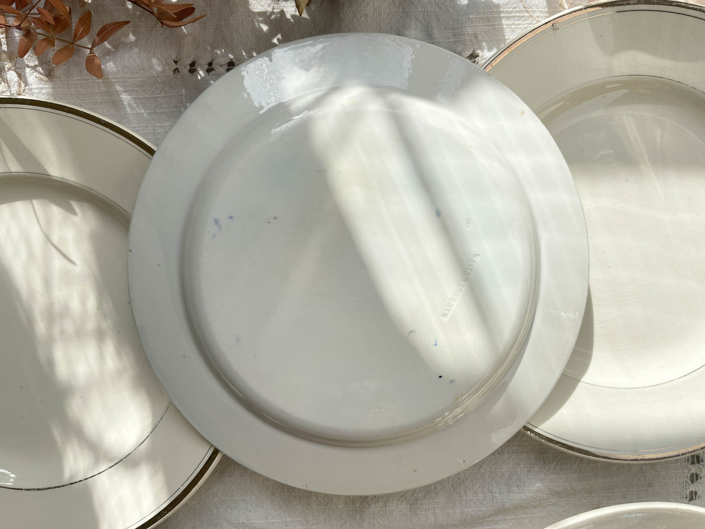 6 Assiettes vintage dépareillées motif fleuri Sareguemines Badonvillier Moulin des Loups