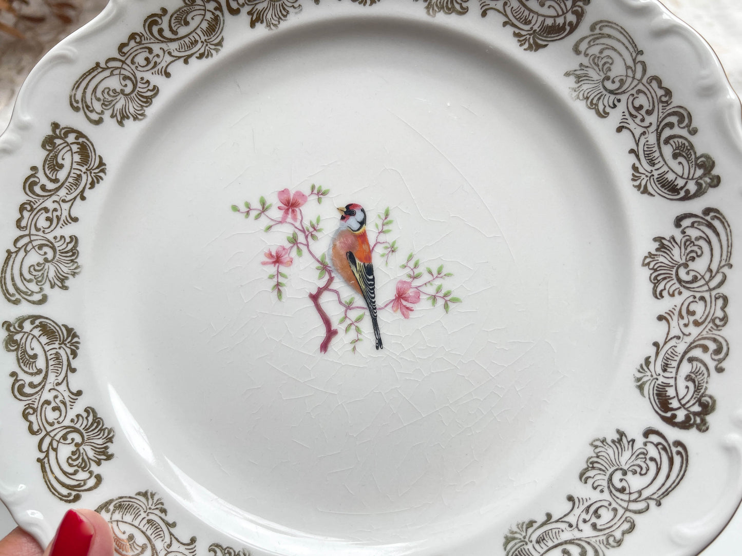 Petites assiettes vintage en porcelaine blanche dorée Bavaria motif oiseau