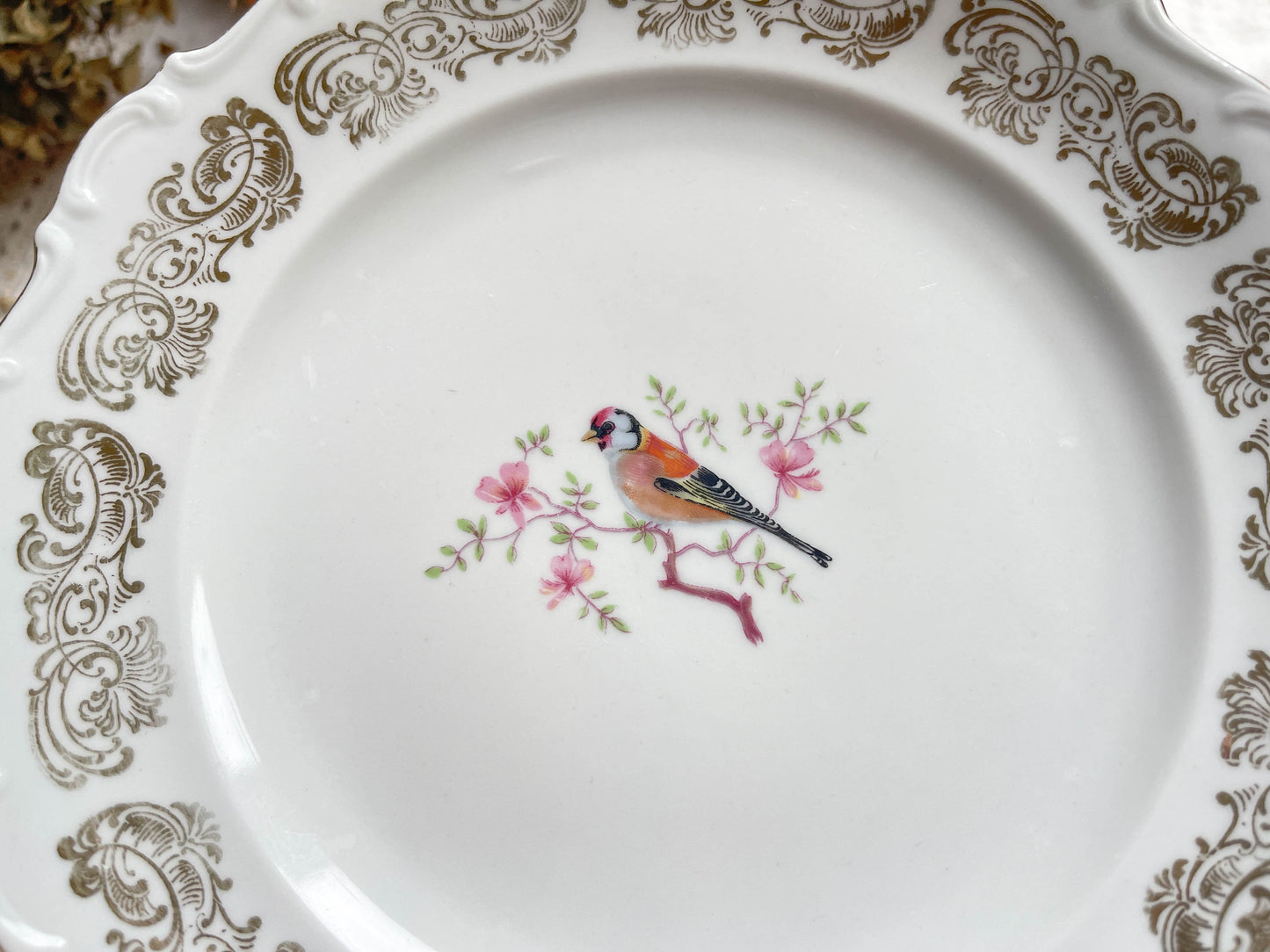 Petites assiettes vintage en porcelaine blanche dorée Bavaria motif oiseau