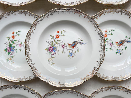 9 Assiettes creuses en porcelaine vintage Real Opalor Export motif oiseau de paradis