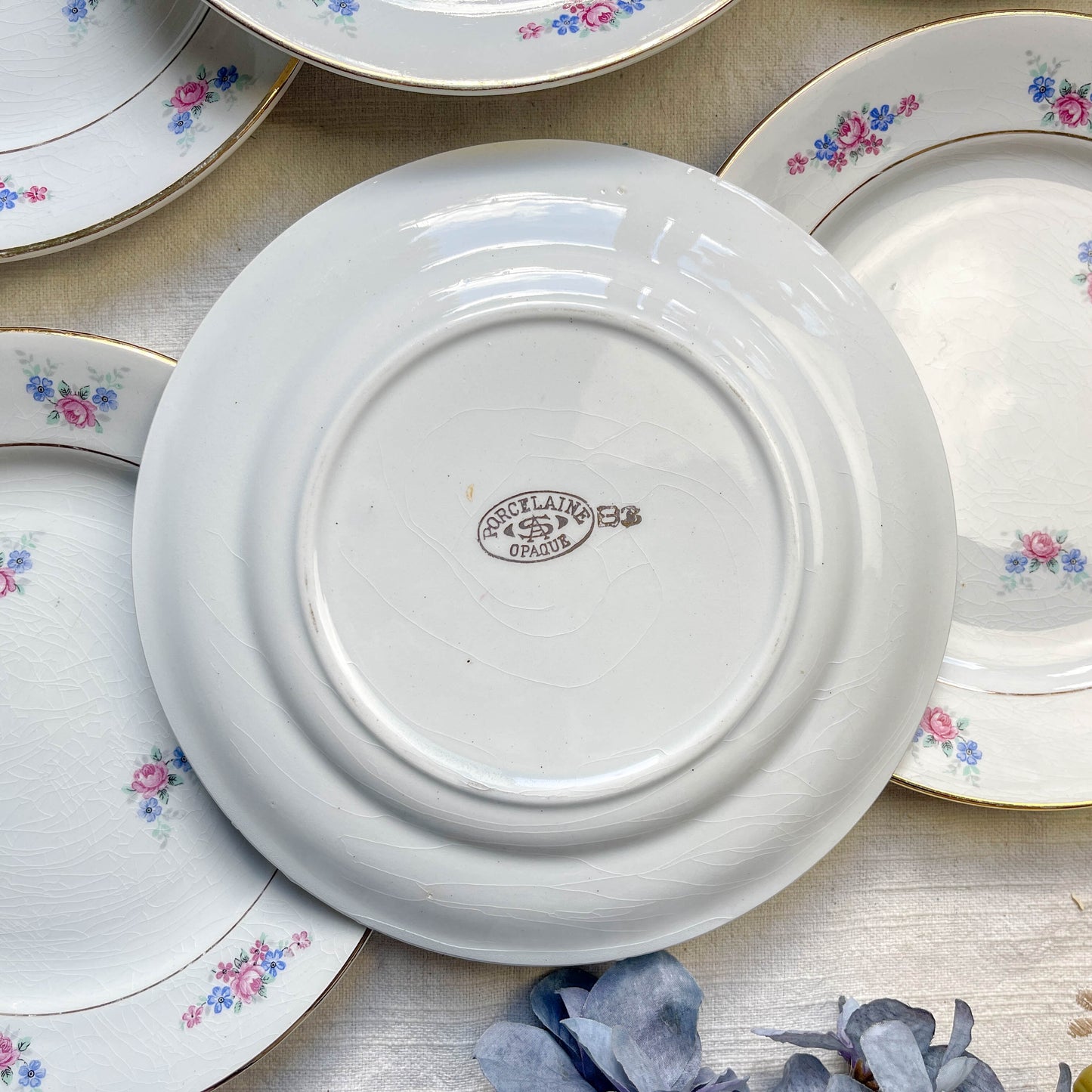 6 Petites Assiettes Vintage en Porcelaine Fleurie - Salins