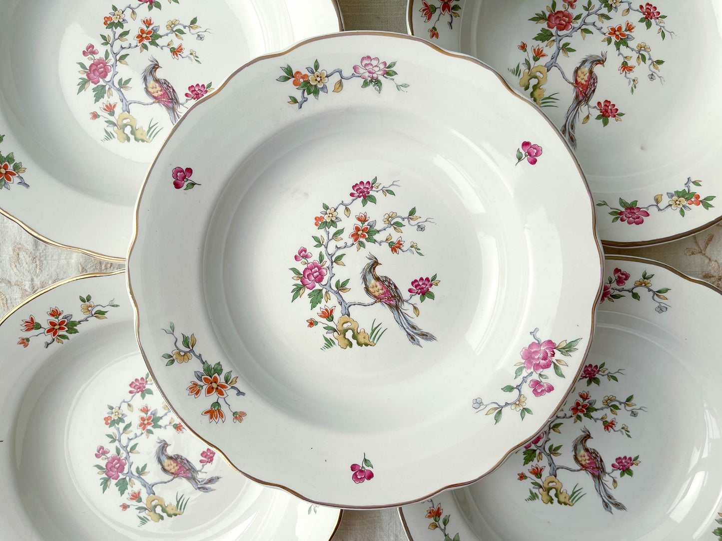 Assiettes creuses en porcelaine vintage DIGOIN SARREGUEMINES modèle CONDE motif oiseau de paradis