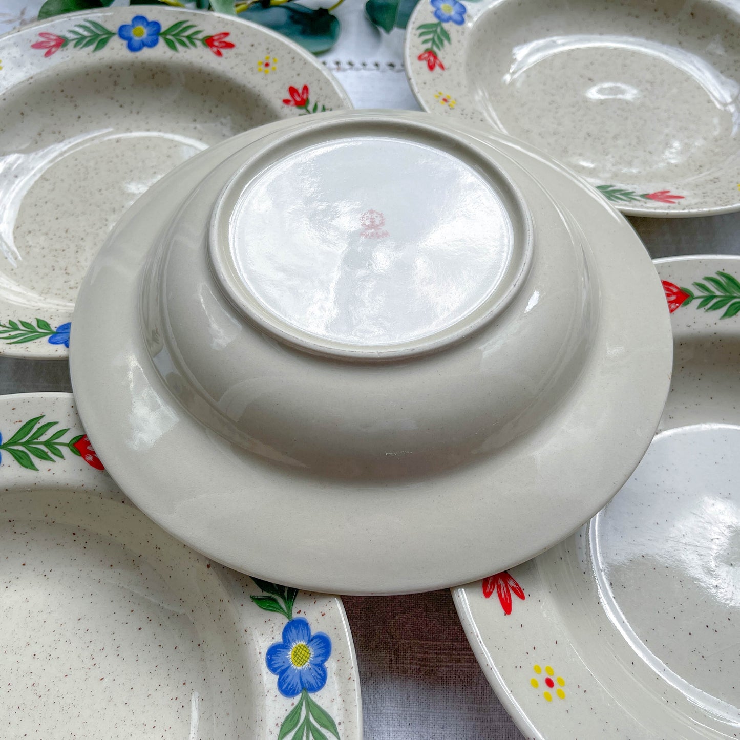 5 Assiettes creuses en grès beige moucheté motif fleuri Tulowice Poland 1970