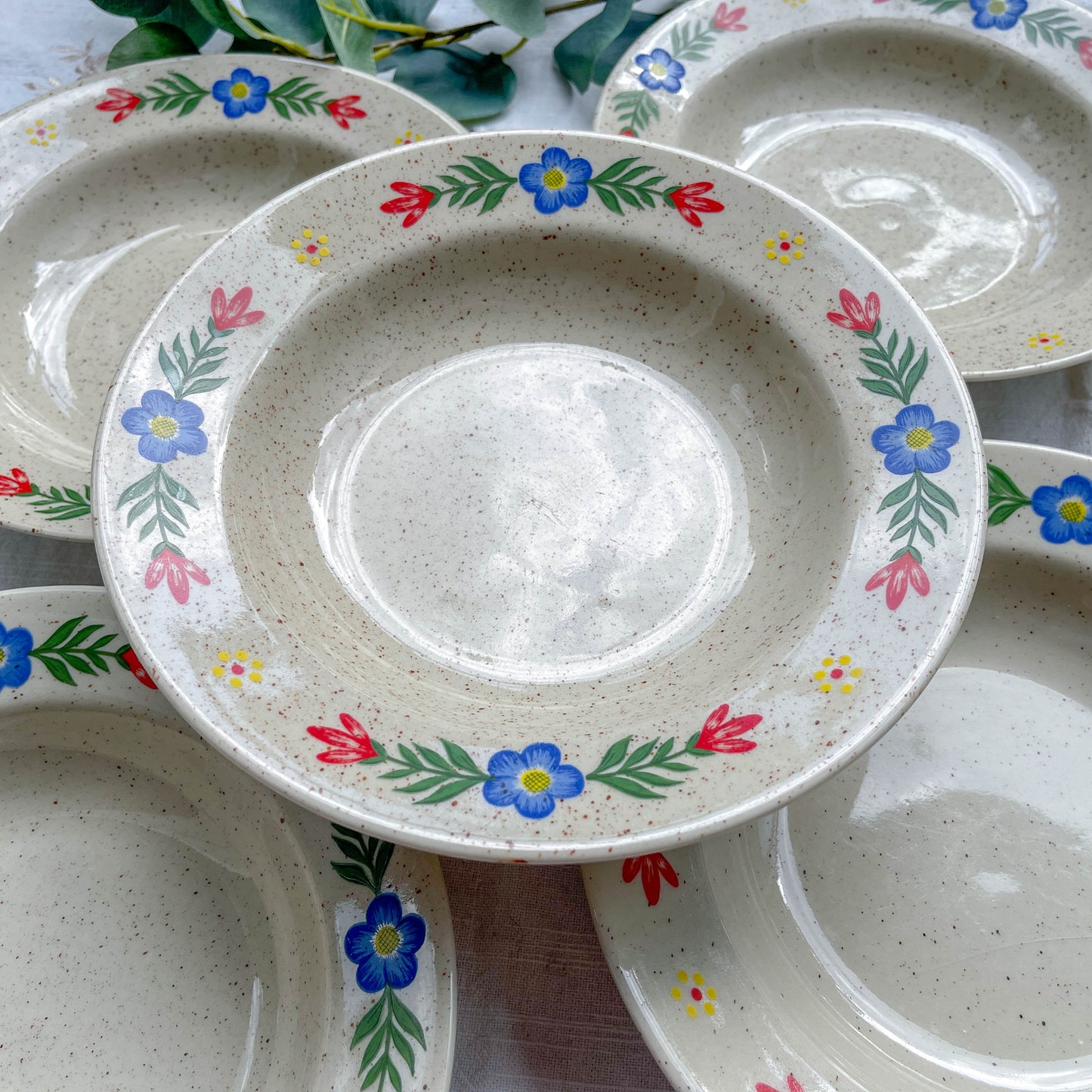 5 Assiettes creuses en grès beige moucheté motif fleuri Tulowice Poland 1970