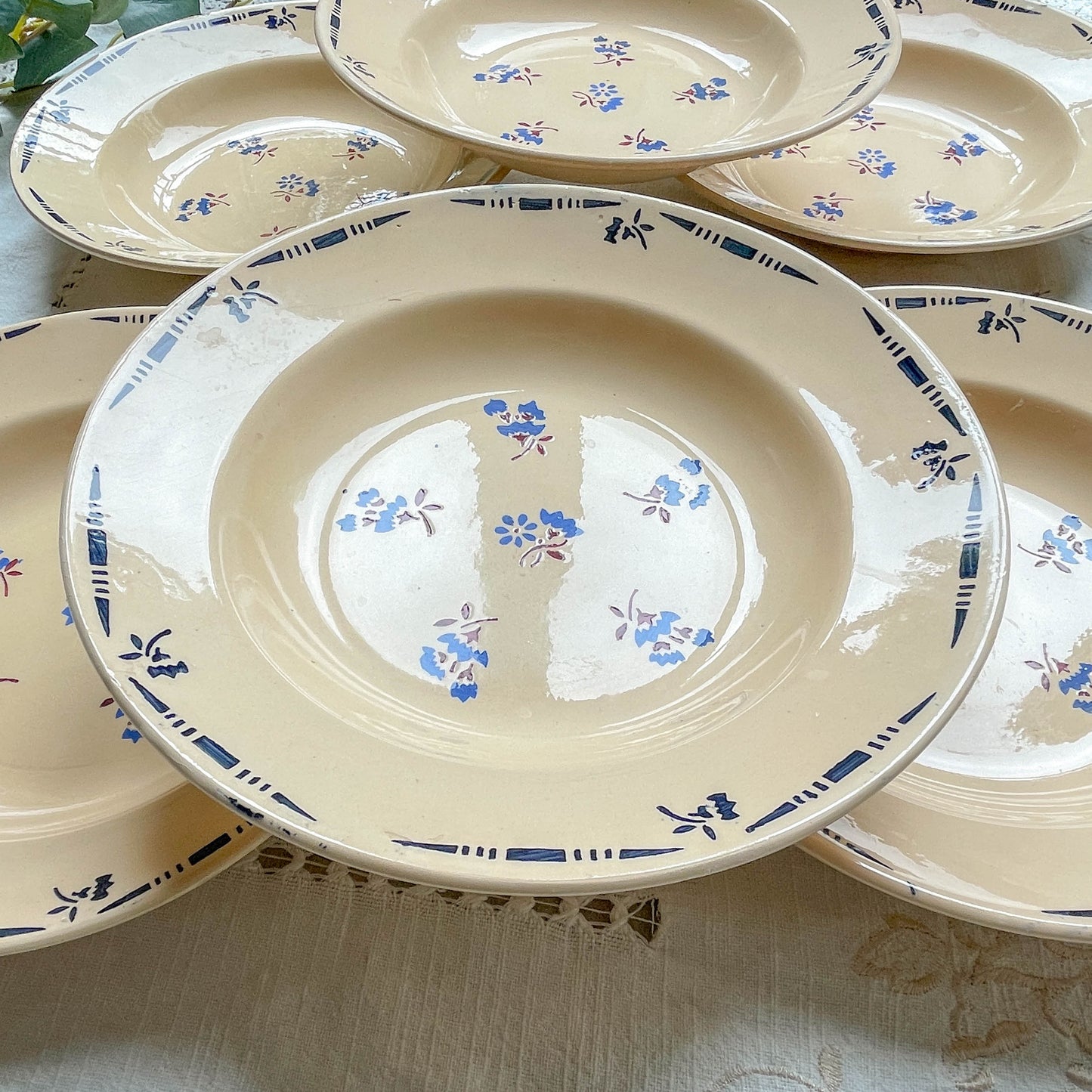 6 Assiettes creuses porcelaine vintage K&g Luneville "Flore" 1950s petites fleures bleues