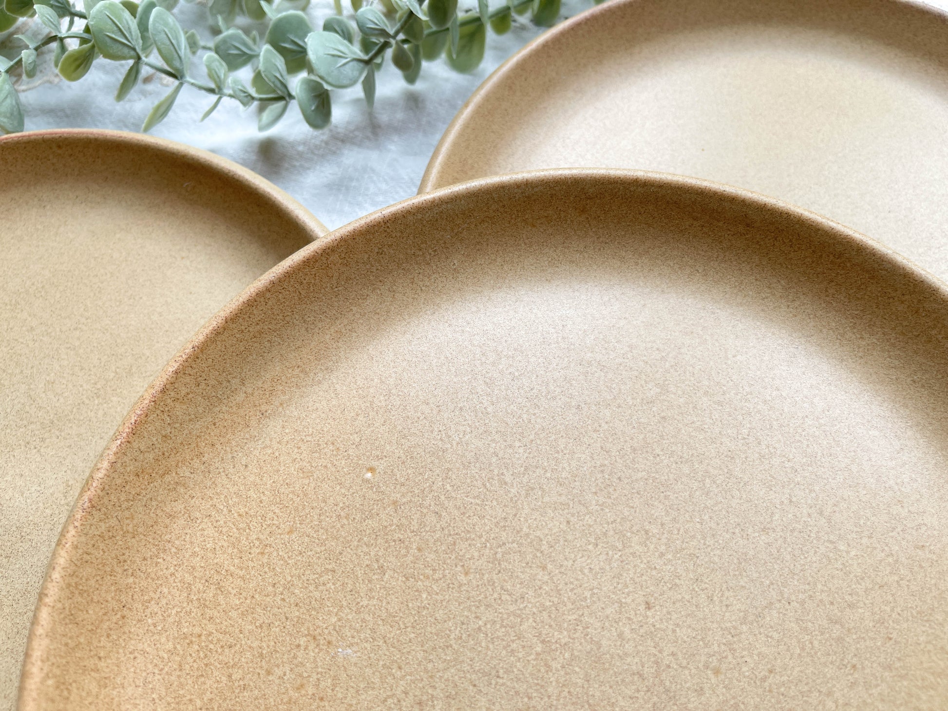 3 Assiettes Vintage en Grès Sarreguemines modèle Fermette made in France
