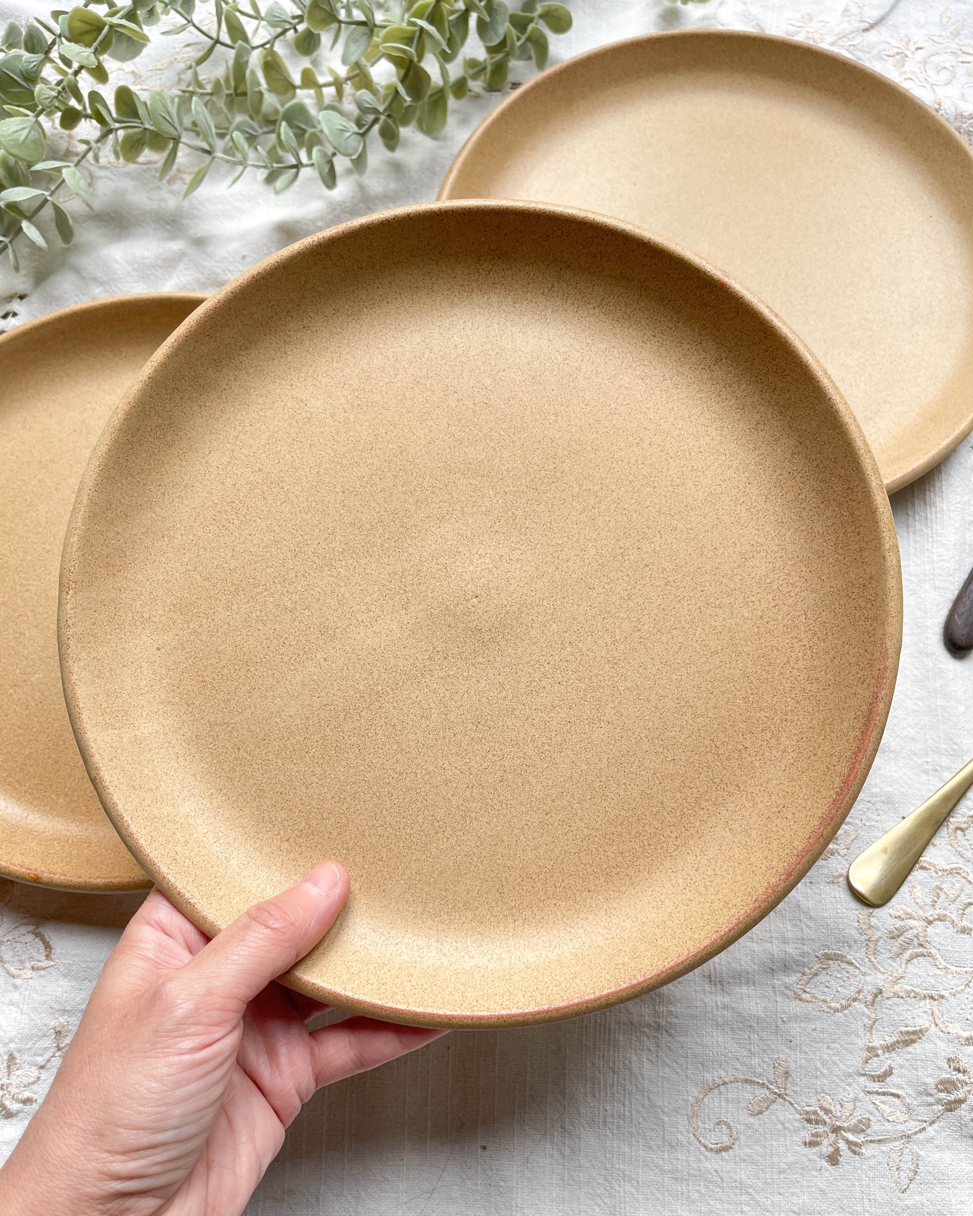 3 Assiettes Vintage en Grès Sarreguemines modèle Fermette made in France