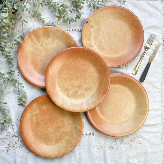 5 Assiettes Vintage en Grès Vallauris