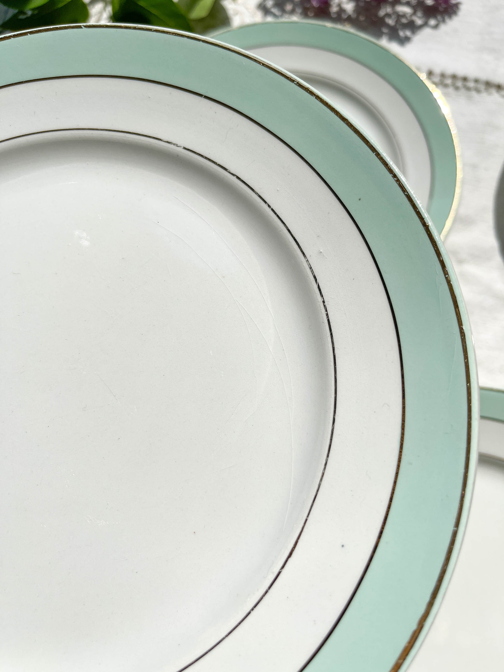 6 Assiettes plates BADONVILLER en faïence blanche verte dorée
