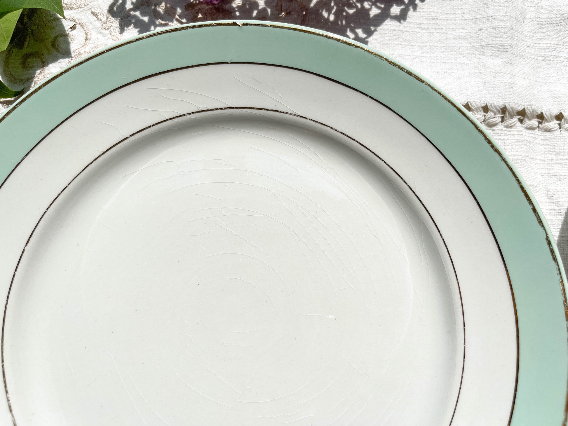 6 Assiettes plates BADONVILLER en faïence blanche verte dorée