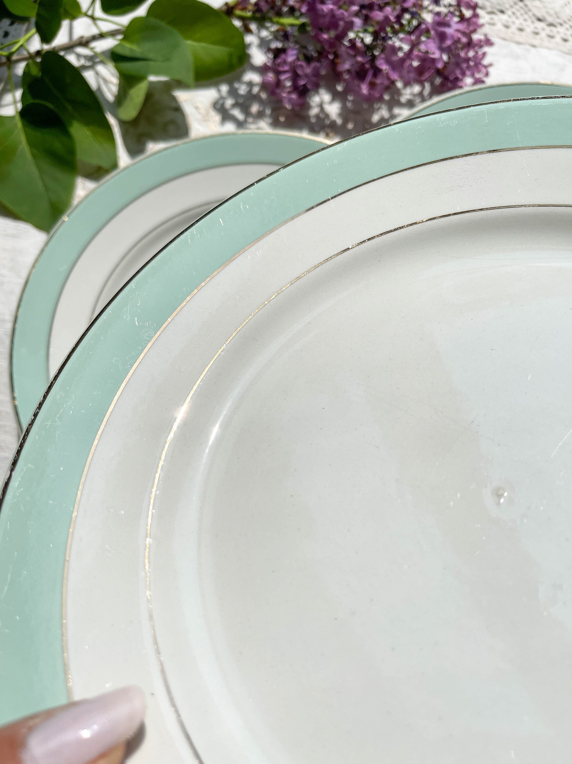 6 Assiettes plates BADONVILLER en faïence blanche verte dorée
