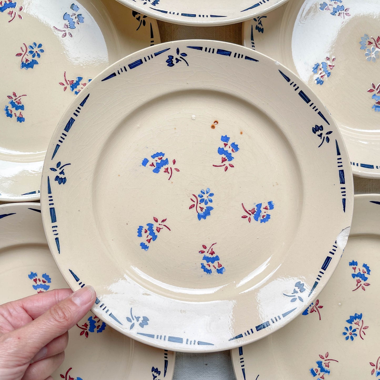 Lot de 8 assiettes plates en porcelaine vintage K&G Lunéville, modèle "Flore" des années 1950, décorées de petites fleurs bleues délicates.