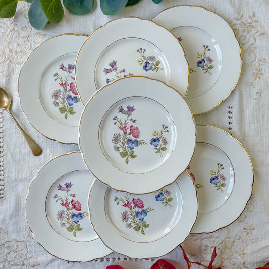 7 Petites Assiettes en porcelaine vintage motif fleuri KG Luneville