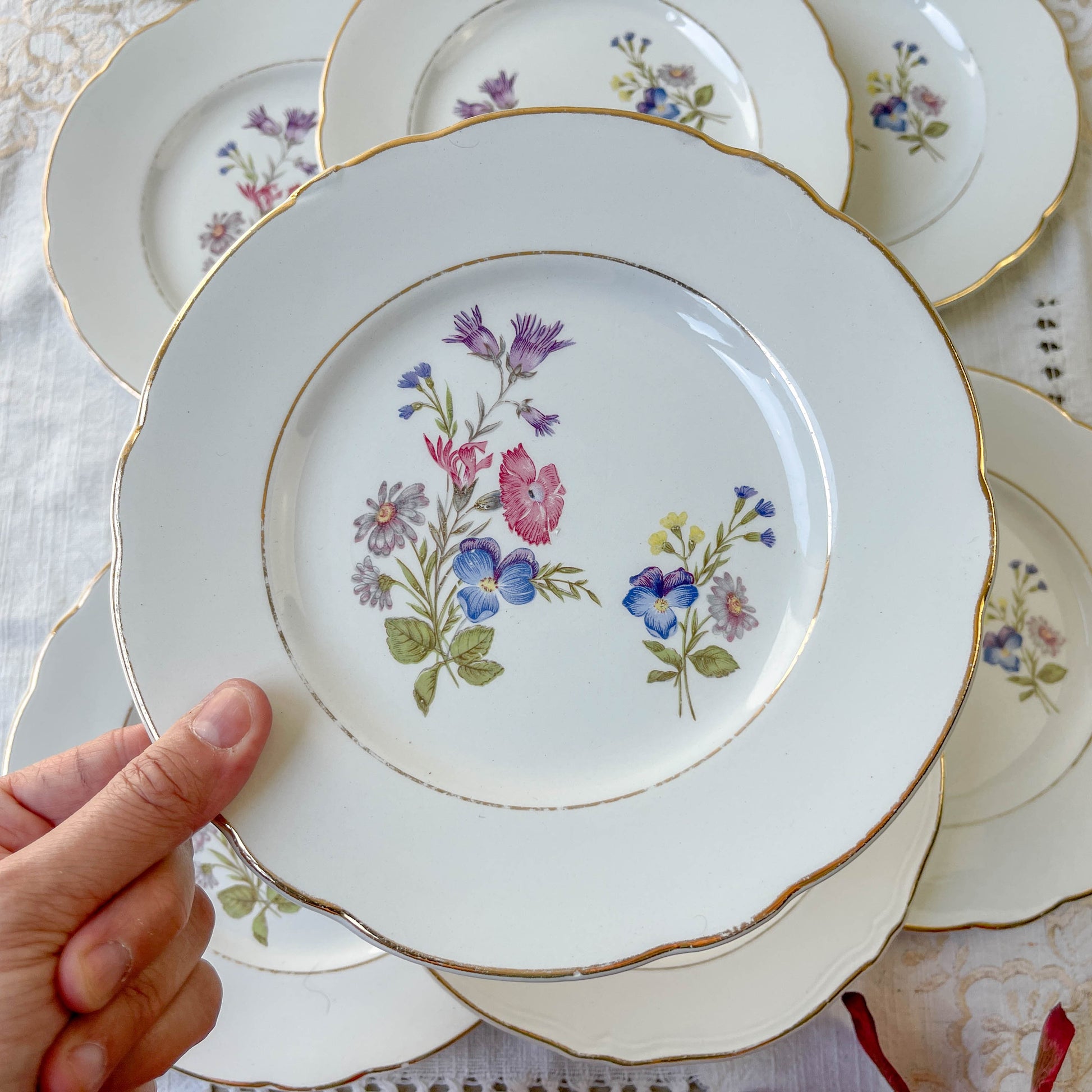 7 Petites Assiettes en porcelaine vintage motif fleuri KG Luneville