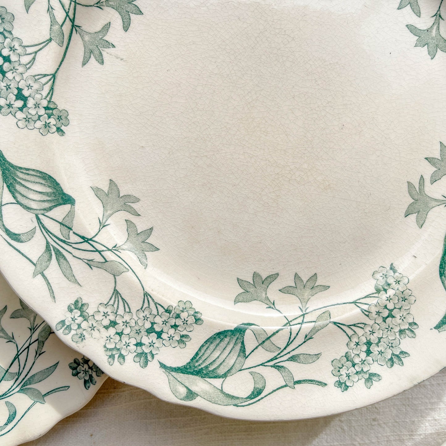 Set of 6 Antique Ironstone Dinner Plates "Lilac" – Longchamp 19th Century