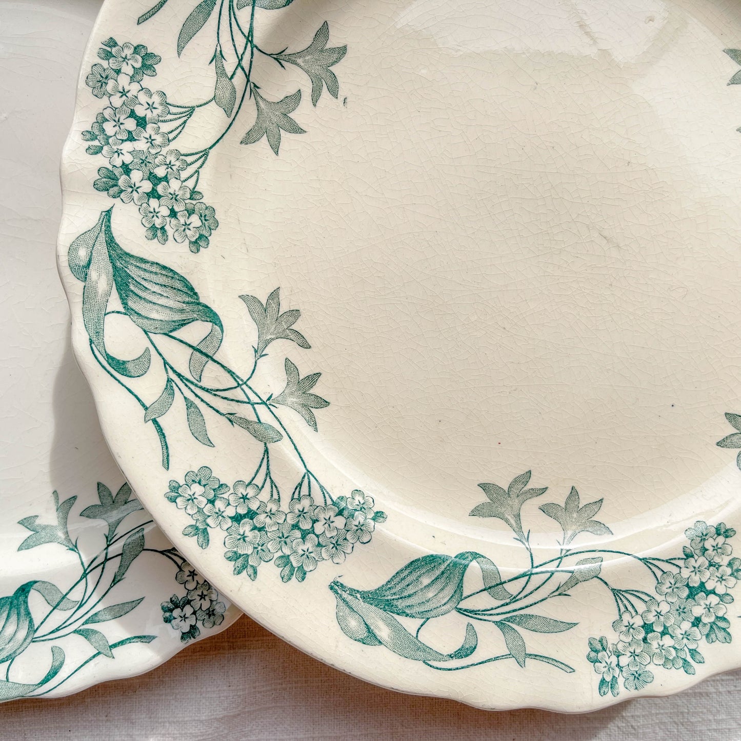 Lot de 6 assiettes plates anciennes en Terre de Fer, modèle 'Lilas' de la manufacture Longchamp – faïence blanche à décor floral bleu, France, fin XIXe siècle