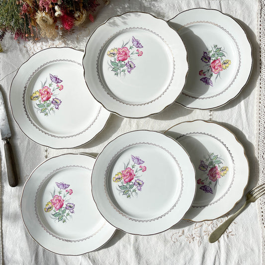 6 Assiettes plates porcelaine DIGOIN & SARREGUEMINES modèle Rene made in France 1950