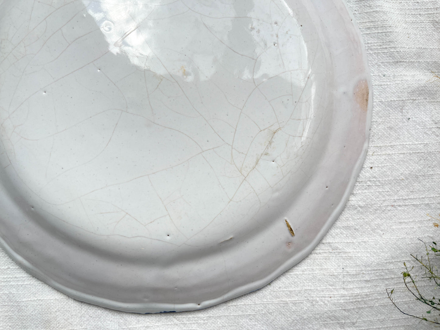Ancienne Assiette Faïence Française XIXème motif petites fleures bleues