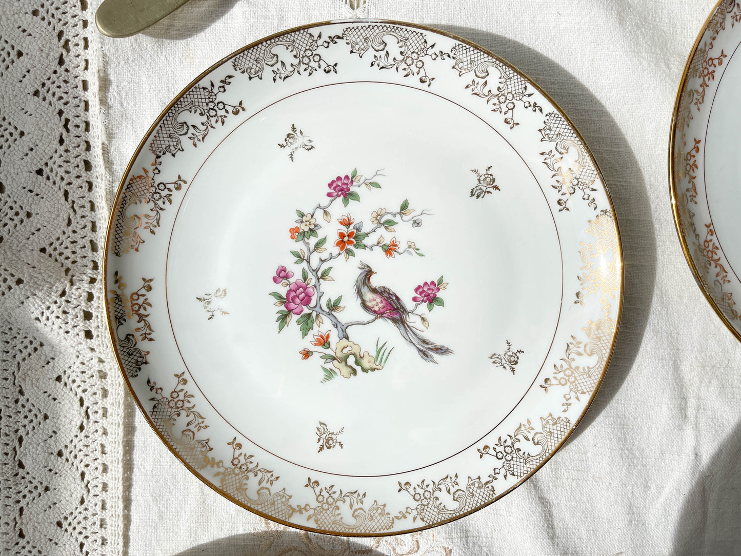 4 Assiettes plates en porcelaine de Limoges motif oiseau de paradis