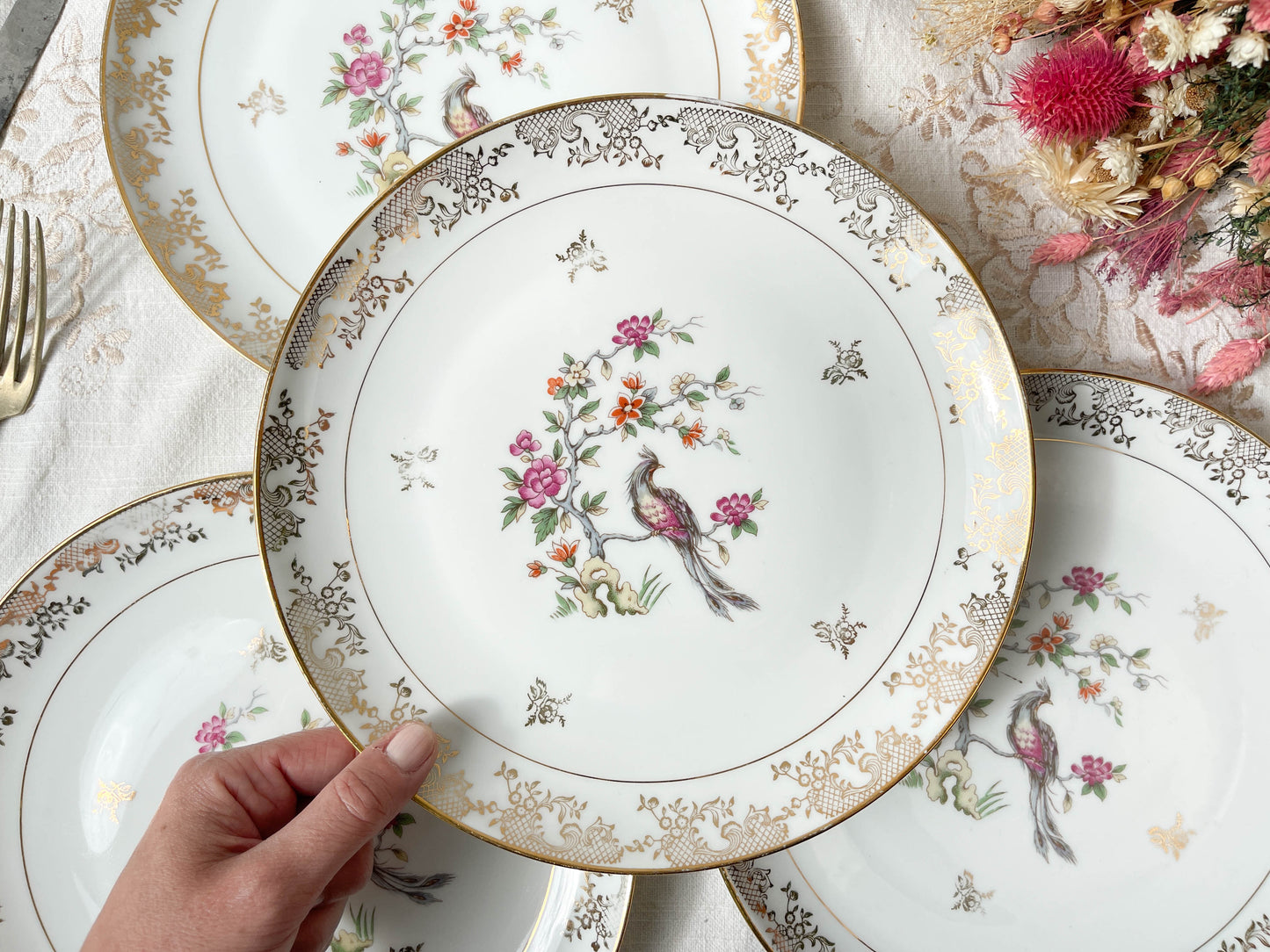4 Assiettes plates en porcelaine de Limoges motif oiseau de paradis