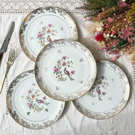 4 Assiettes plates en porcelaine de Limoges motif oiseau de paradis