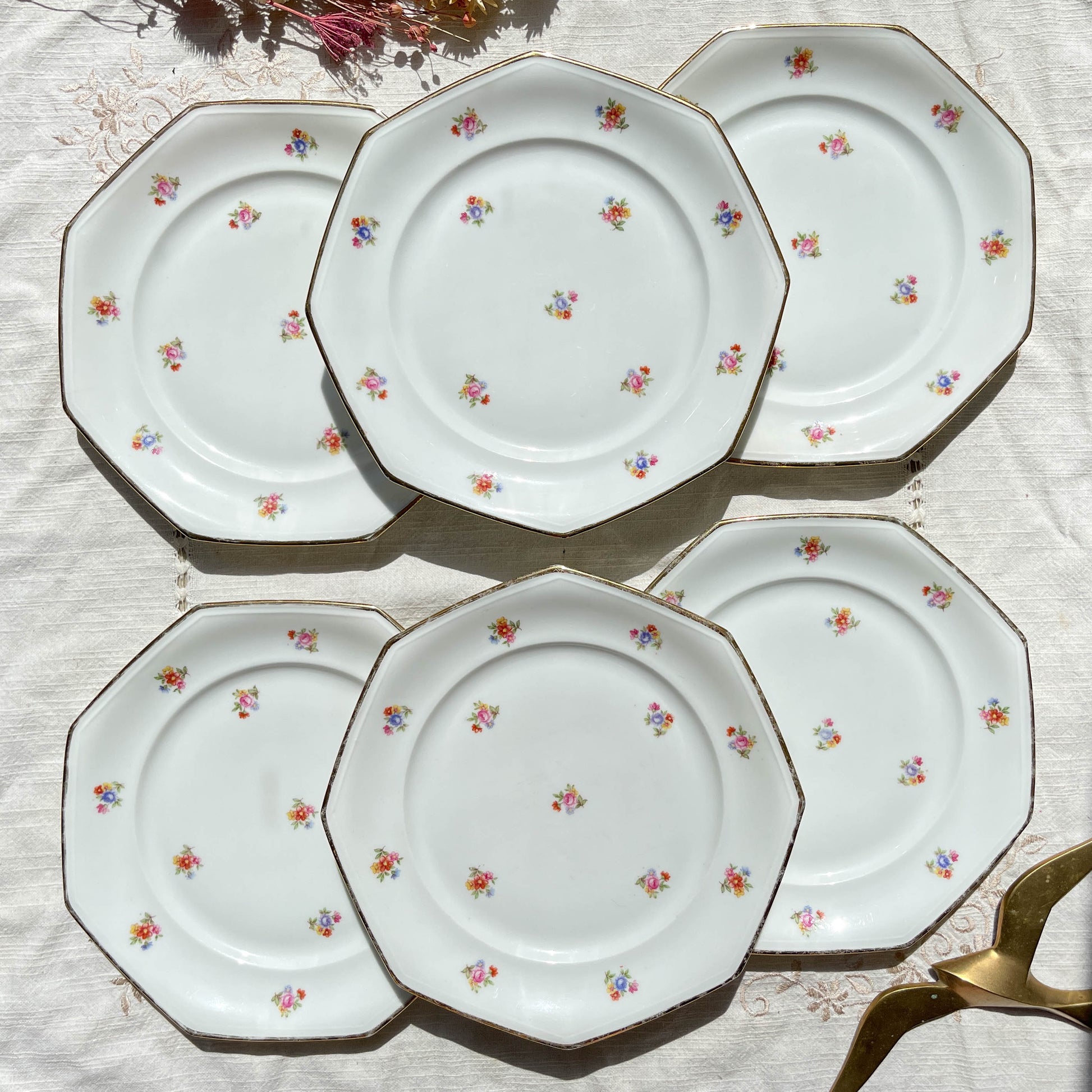 6 Assiettes plates en porcelaine Française fleurie LAMOTTE