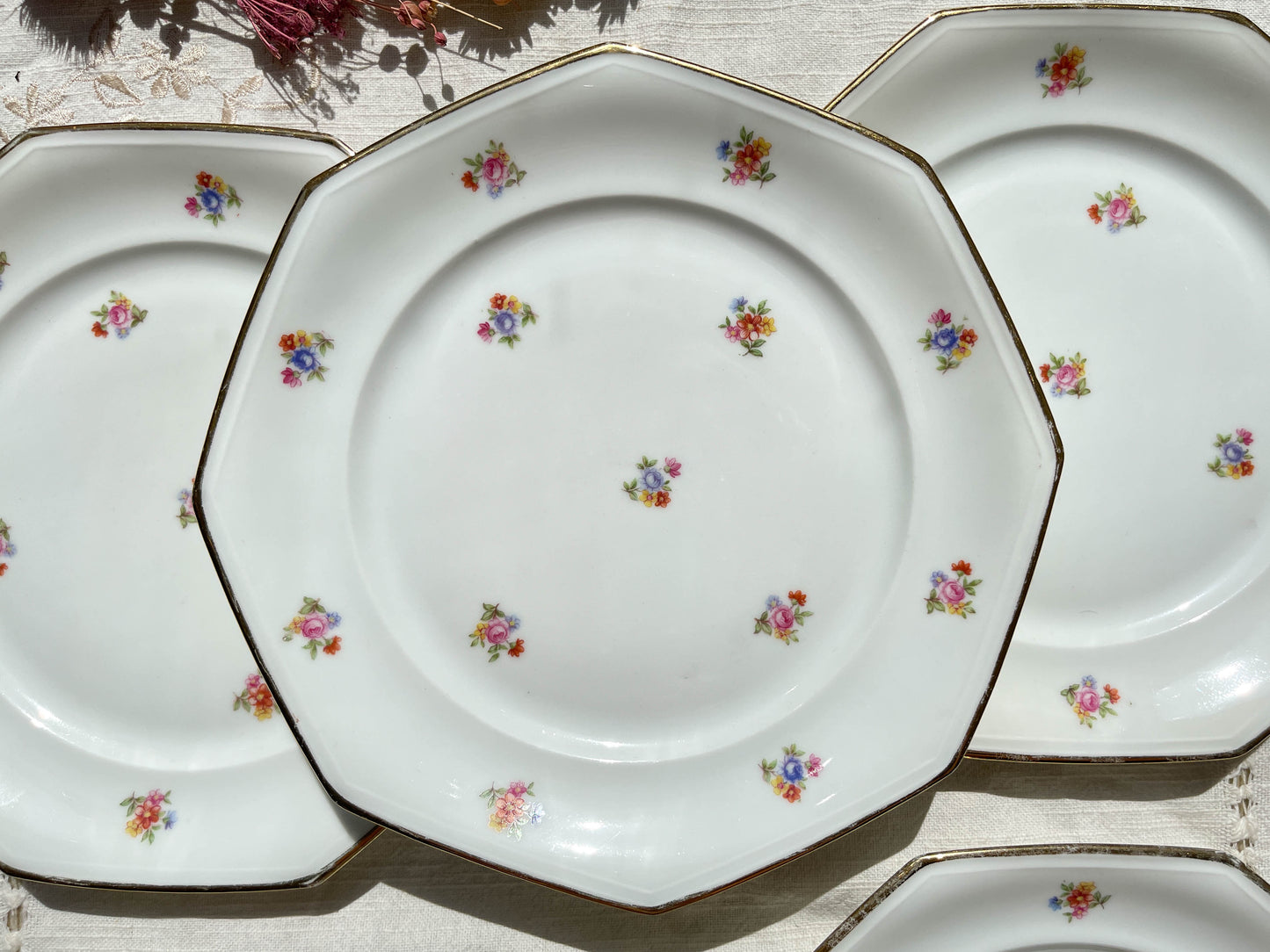 6 Assiettes plates en porcelaine Française fleurie LAMOTTE