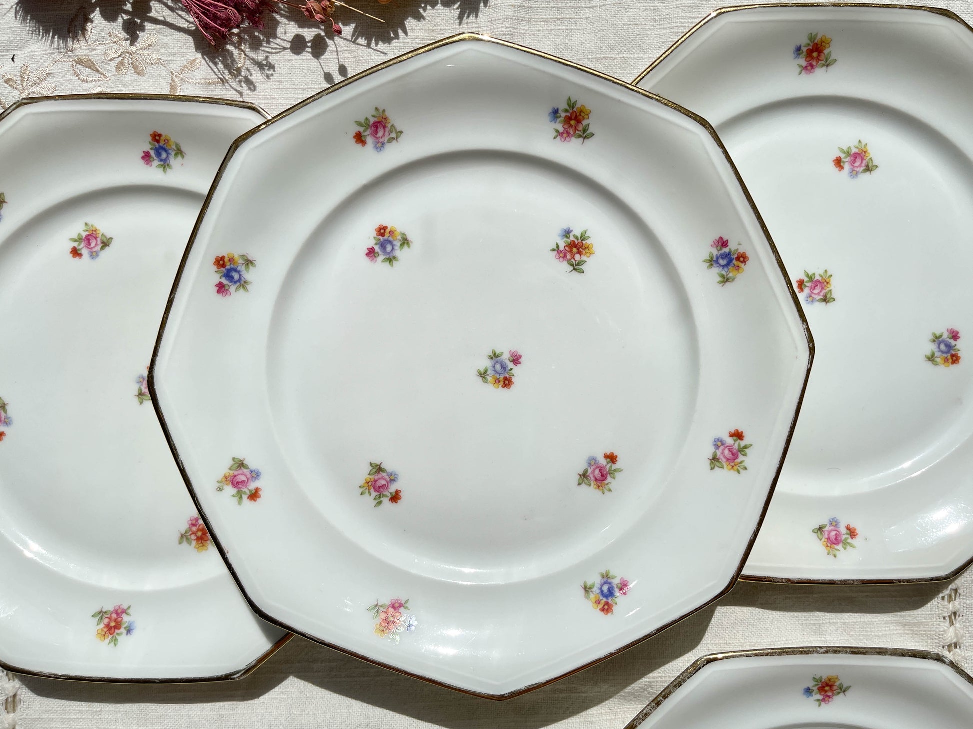 6 Assiettes plates en porcelaine Française fleurie LAMOTTE